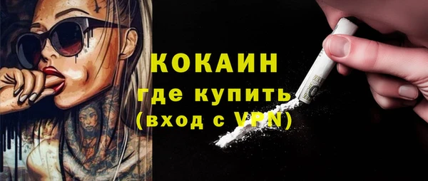 шишки Абаза