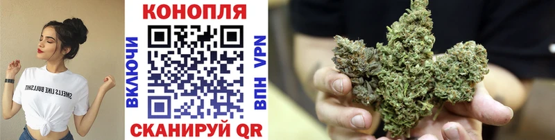 где купить наркоту  ссылка на мегу   Бошки Шишки семена  Курлово 